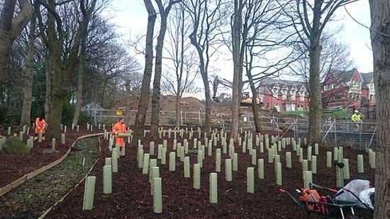 New Build - Large Scale Tree Planting